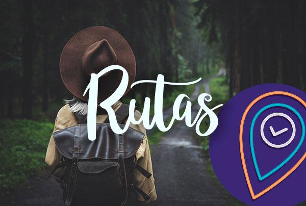 Ruta de viñedos y villas de la Ribera del Duero